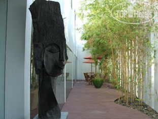 New photos from tourists Palmyard Hotel 4*