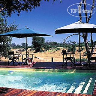 Фото Savute Safari Lodge