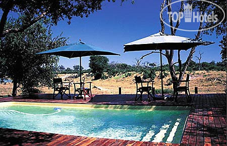 Hotelier's photos Savute Safari Lodge 5*