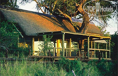New photos from tourists Savute Safari Lodge 5*