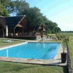 New photos from tourists Khwai River Lodge 5*