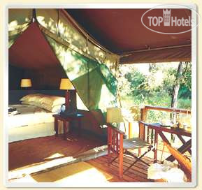 New photos from tourists andBeyond Nxabega Okavango Tented Camp 5*