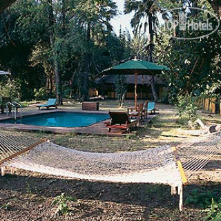 Фото Camp Okavango