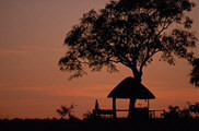 New photos from tourists Zibalianja Camp 4*