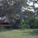 Photos Selinda Camp