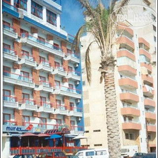 Фото Murex