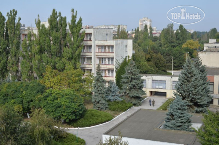 Фото Золотая Нива