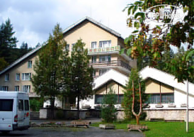 Photos Форель