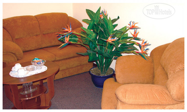 New photos from tourists Sun Light Hotel 4*