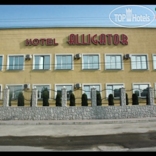 Фото Аллигатор