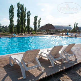 Фото Кипарис