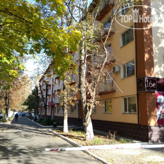Фото Нивки
