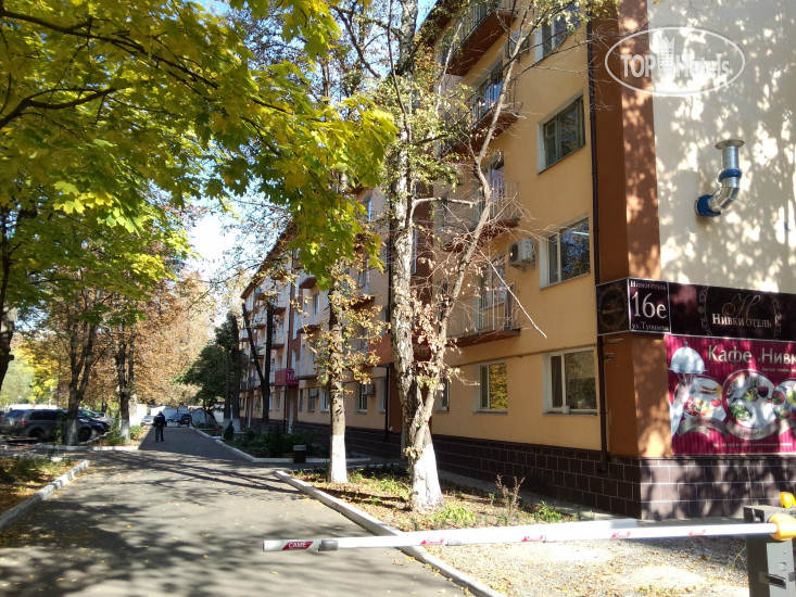 Фото Нивки