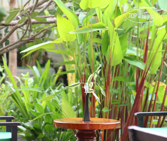Hotel photo Siem Reap Evergreen Hotel 3*