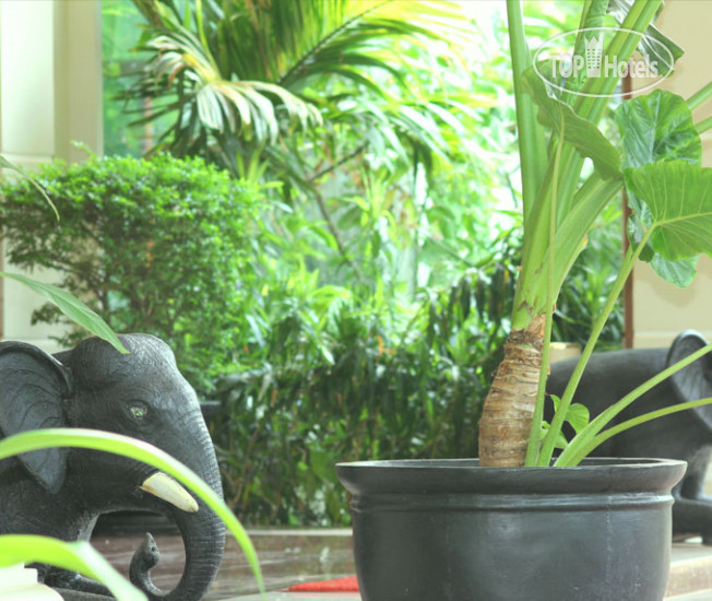 New photos from tourists Siem Reap Evergreen Hotel 3*