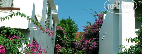 New photos from tourists Malibu Bungalows 3*