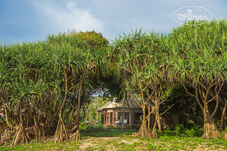 New photos from tourists Wa Ale Island Resort 5*