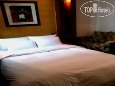 New photos from tourists Venezia Hotel Gangnam 3*
