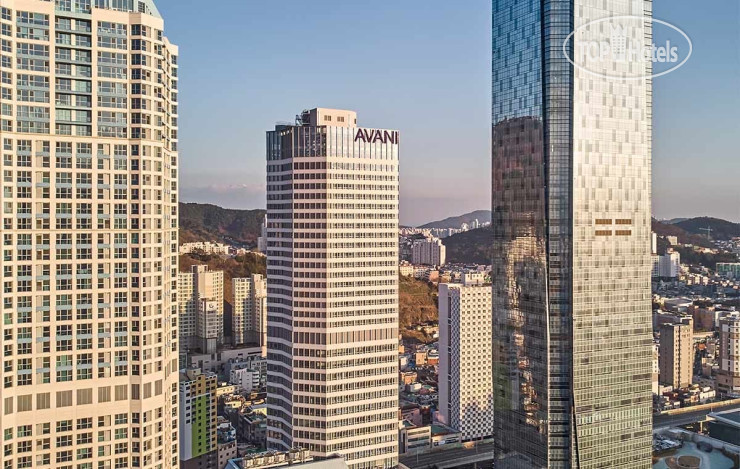 Hotel photo Avani Central Busan Hotel 4*