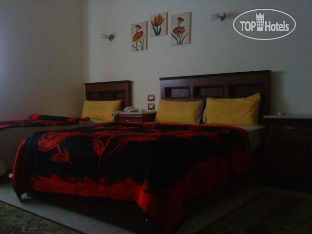New photos from tourists Egypt Pyramids Inn