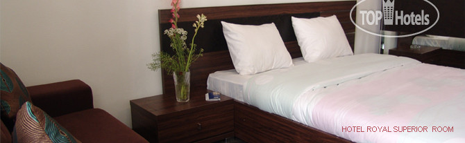 New photos from tourists Royal Hotel 2*
