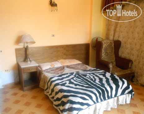 New photos from tourists Museum View Hotel