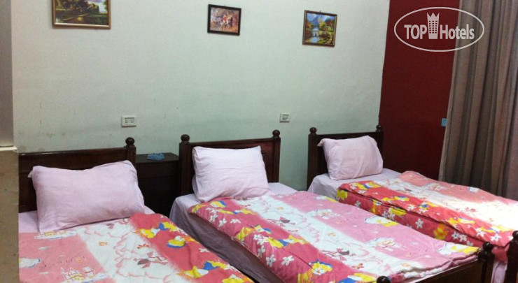 New photos from tourists Jamaica Hostel 2*