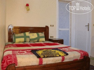 New photos from tourists Ramses II Hostel
