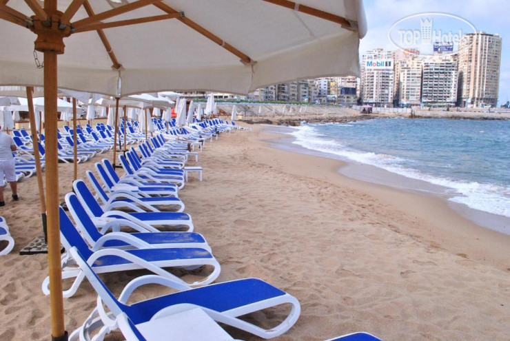 Hotel photo Tolip Alexandria Hotel 5*