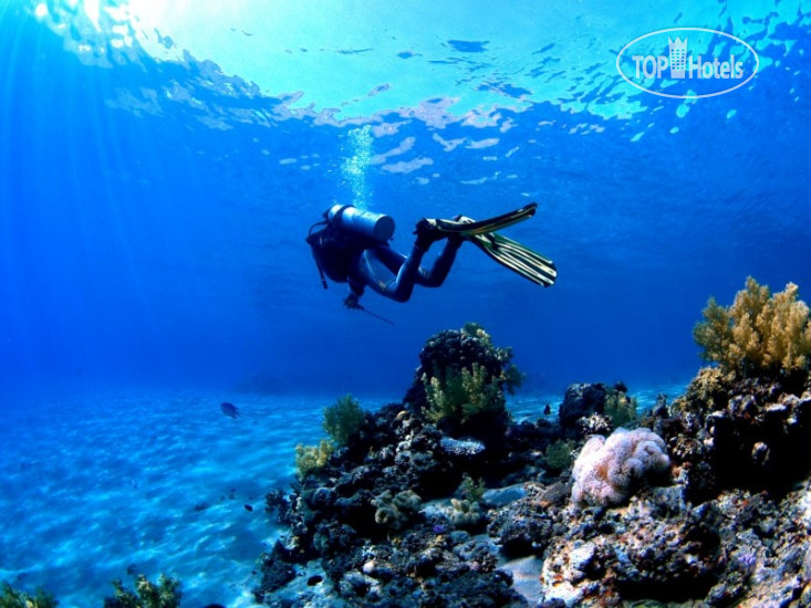 New photos from tourists Dahab Hotel 3*