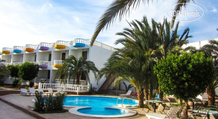 New photos from tourists Octopus Resort