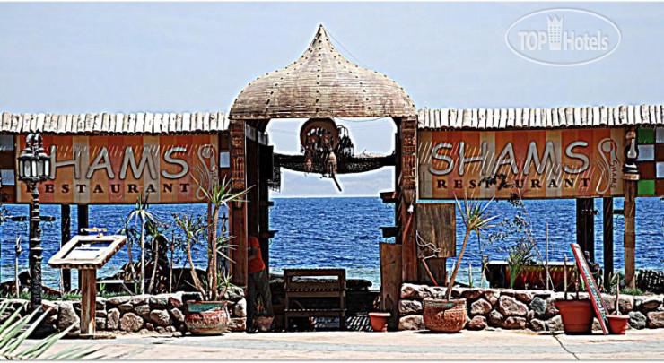 New photos from tourists Shams Hotel