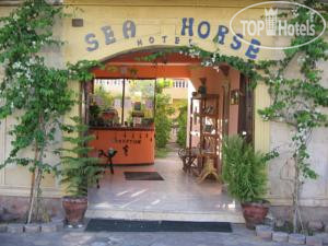New photos from tourists SeaHorse 3*