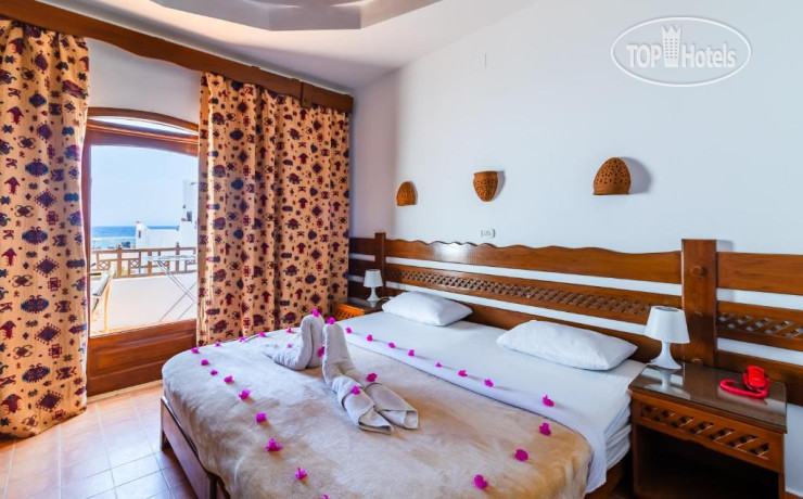 Hotelier's photos Daniela Diving Resort Dahab 3*