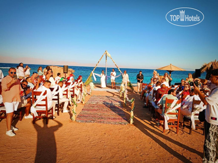 Hotel photo Daniela Diving Resort Dahab 3*