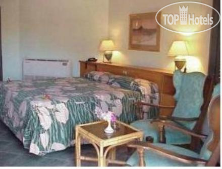 New photos from tourists Safari Nuweiba 3*