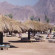 Photos Safari Nuweiba