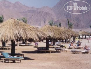 Photos Safari Nuweiba