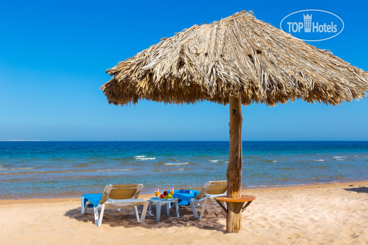 New photos from tourists Aladdin Beach Resort 4*