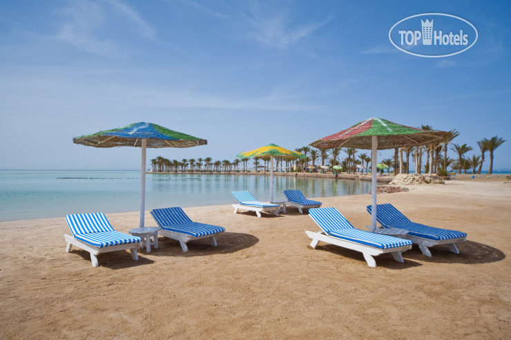 New photos from tourists Festival Shedwan Golden Beach Resort (closed) 3*