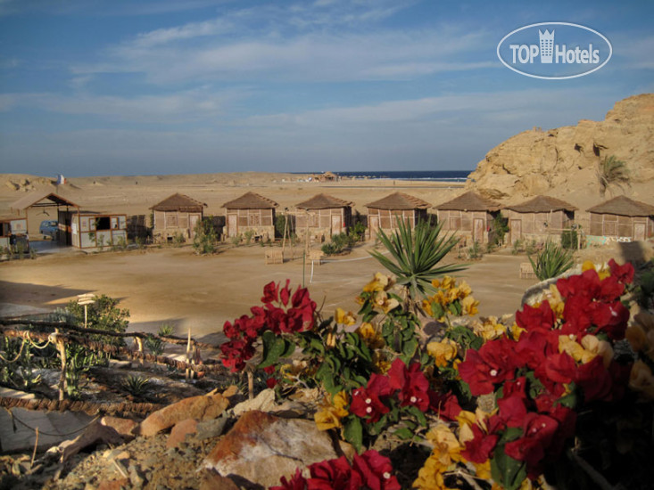 Hotelier's photos Roots Luxury Camp Redsea 3*