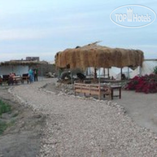 Photos Flower of Life