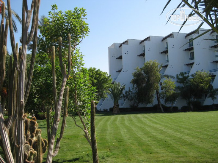 New photos from tourists Shams Safaga Resort 4*
