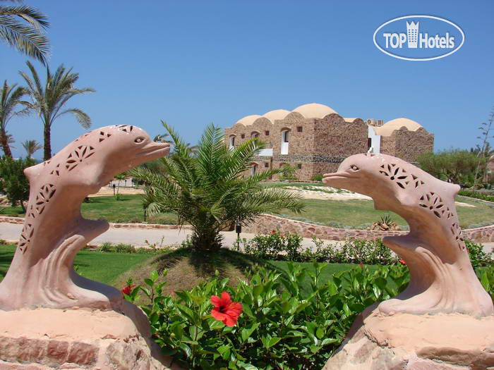 Hotelier's photos Beach Albatros Resort Marsa Alam 4*