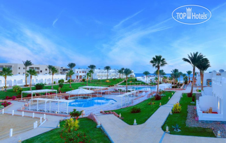 New photos from tourists Jaz Neo Reef Marsa 4*