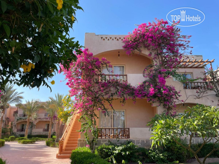 New photos from tourists Dream Lagoon Beach Marsa Alam 5*