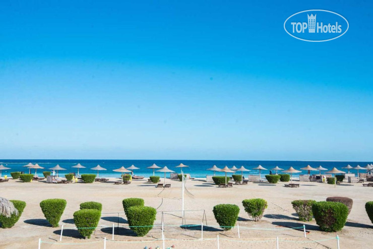 New photos from tourists Shams Alam Beach Resort 4*