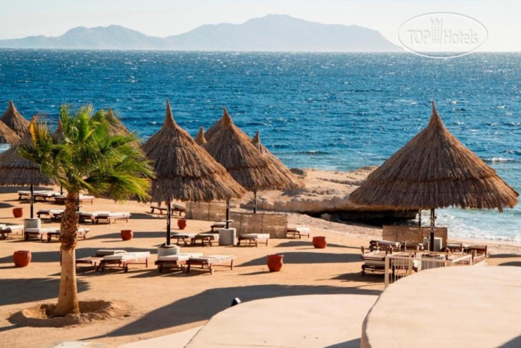 Новые добавленные фото туристов Sheraton Sharm Hotel, Resort, Villas & Spa 5*