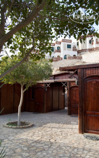 Hotelier's photos Sharks Bay Umbi Diving Village 3*