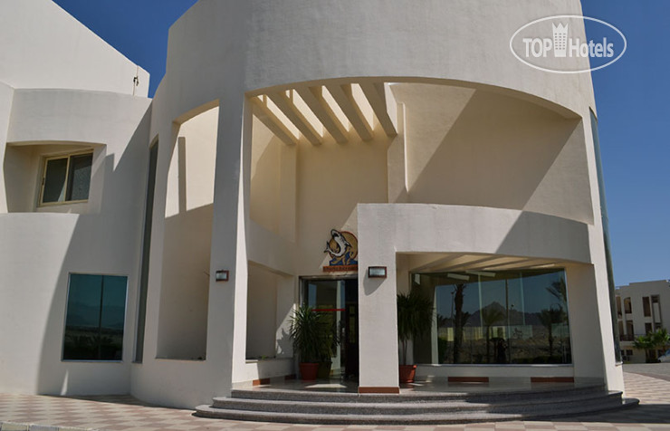 Hotel photo Sharks Bay Oasis 3*